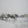 la grande nevicata del febbraio 2012 046